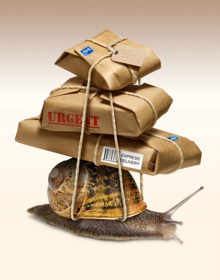 Jacey digital illustration30